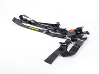 Schroth E36 Schroth Quick Fit Pro Harnesses SCR18-E36