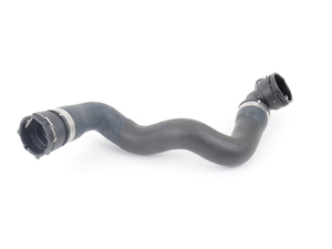 Rein Radiator Hose - Lower - Z4