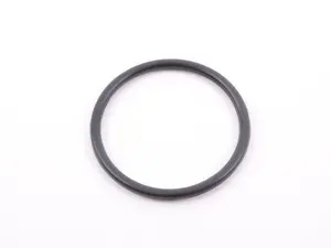 Water Pump O-Ring