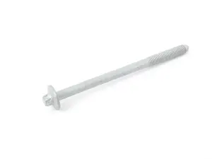 Genuine BMW Asa-Bolt