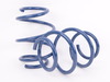 Dinan Performance Spring Set - F30 D100-0912 View 3
