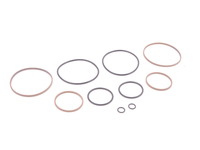 ECS   M5X Dual Vanos Rebuild Kit - E39, E46, E60, E83, Z3, Z4 012017ECS