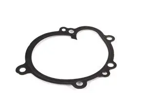Victor Reinz Water Pump Gasket - E46, Z3
