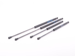 Hood And Trunk Strut Kit