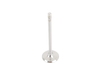 TRW Intake Valve - E36 E46 E34  E39 Z3 (M42, M44, M50, M52, M52TU) 11341739820 View 3