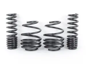 BMW E9X M3 Swift Springs - 1