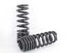 Swift BWM F80 M3 Swift Springs - 1"F 0.4"R  4X909R View 2