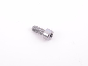 Genuine BMW Isa Screw - 07129905865