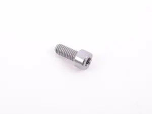 Genuine BMW Isa Screw - 07129905865