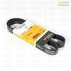 Continental OEM Continental Air Conditioner Belt - E60 M5, E63 M6 11287835483 View 2