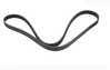 Continental OEM Continental Serpentine Belt - E70 X5 4.8i 11287540949 View 1