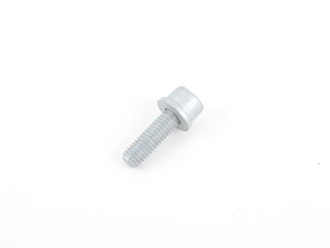 Genuine BMW Torx Screw - 07129903979