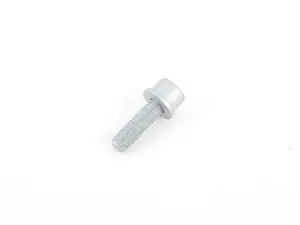 Genuine BMW Torx Screw - 07129903979