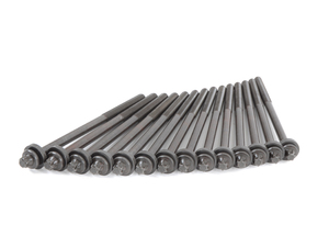 Genuine BMW Cylinder Head Bolt Set - M57