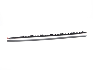 Genuine BMW Painted Drip Moulding, Left
