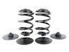 Packaged by Turner Rear Spring Replacement Kit e46m3rspringsKT1
