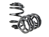 Assembled By ECS E46 M3 Coupe Factory Replacement Rear Springs with pads e46m3rspringsKT View 11