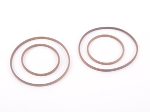  M5X Dual Vanos Rebuild Kit - E39, E46, E60, E83, Z3, Z4