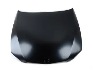 Genuine BMW hood