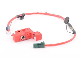 Genuine BMW Battery Cable (Plus Pole) Sbk - 61129165850 - E89