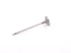 Intake Valve - Priced Each