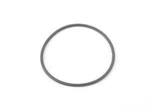 Kayser O-Ring 