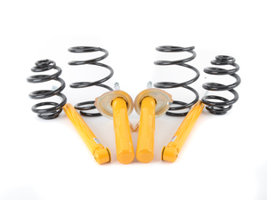 Cup Kit - Eibach Springs With Koni Sport Shocks E46 330xi
