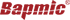 Bapmic - Corporate Logo